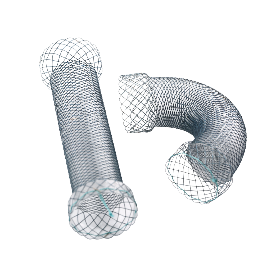 Taewoong Enteral Colonic Stent